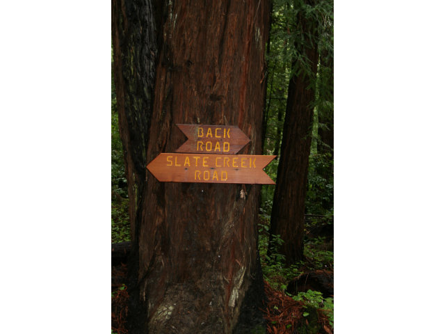0 Back Road, LA HONDA, California 94020, ,Lots And Land,For Sale,Back Road,40966523