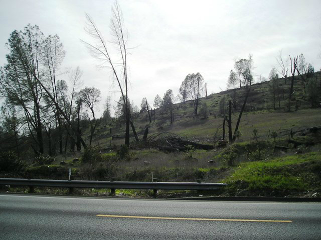 0 Highway 49, SAN ANDREAS, California 95249, ,Lots And Land,For Sale,Highway 49,40966521