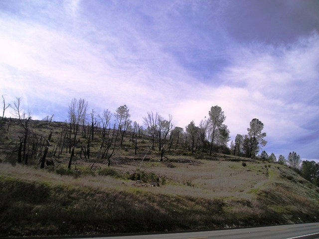 0 Highway 49, SAN ANDREAS, California 95249, ,Lots And Land,For Sale,Highway 49,40966521