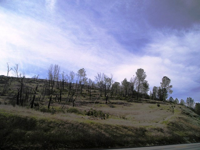 0 Highway 49, SAN ANDREAS, California 95249, ,Lots And Land,For Sale,Highway 49,40966521