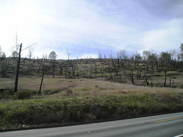 0 Highway 49, SAN ANDREAS, California 95249, ,Lots And Land,For Sale,Highway 49,40966521
