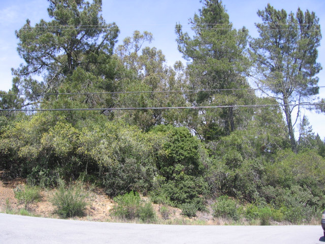 0 Pineridge Road, OTHER - SEE REMARKS, California 95060, ,Lots And Land,For Sale,Pineridge Road,40966515
