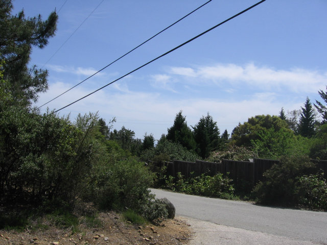 0 Pineridge Road, OTHER - SEE REMARKS, California 95060, ,Lots And Land,For Sale,Pineridge Road,40966515
