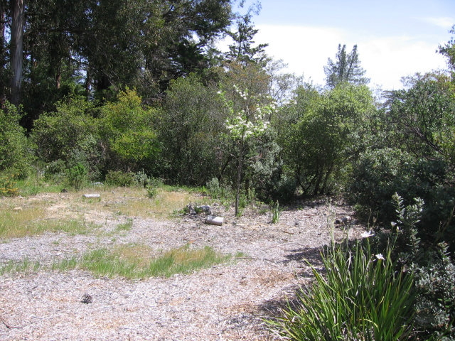 0 Pineridge Road, OTHER - SEE REMARKS, California 95060, ,Lots And Land,For Sale,Pineridge Road,40966515