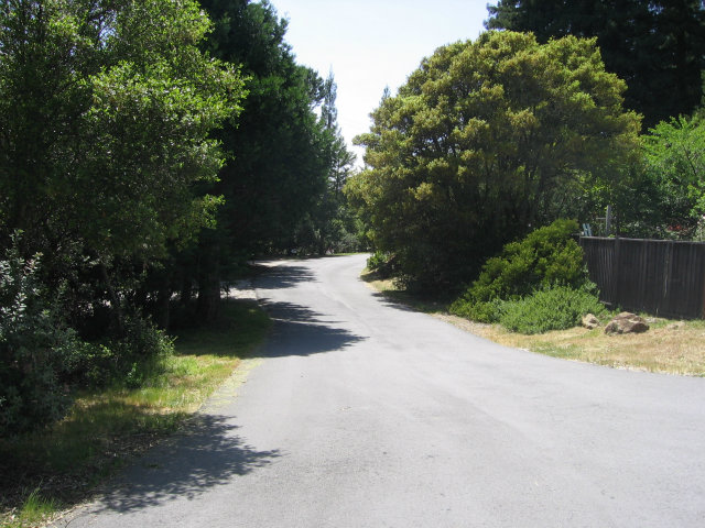 0 Pineridge Road, OTHER - SEE REMARKS, California 95060, ,Lots And Land,For Sale,Pineridge Road,40966515