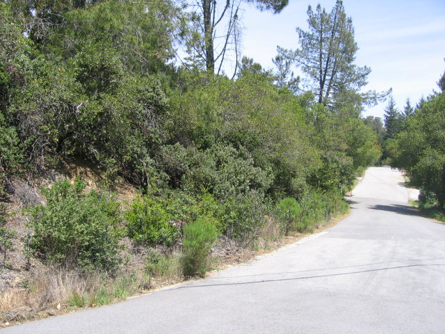 0 Pineridge Road, OTHER - SEE REMARKS, California 95060, ,Lots And Land,For Sale,Pineridge Road,40966515
