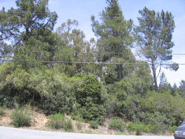 0 Pineridge Road, OTHER - SEE REMARKS, California 95060, ,Lots And Land,For Sale,Pineridge Road,40966515