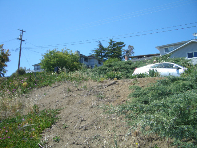 0 MYLINDA Drive, SAN JOSE, California 95132, ,Lots And Land,For Sale,MYLINDA Drive,40966544