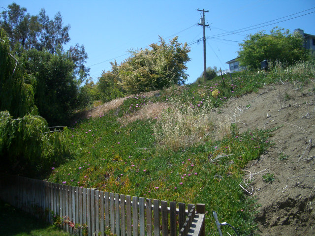 0 MYLINDA Drive, SAN JOSE, California 95132, ,Lots And Land,For Sale,MYLINDA Drive,40966544
