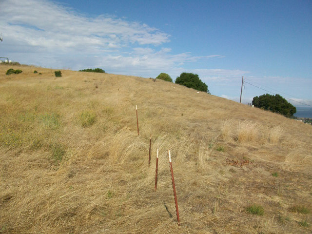 1080 TURQUOISE Drive, HERCULES, California 94547, ,Lots And Land,For Sale,TURQUOISE Drive,40966530