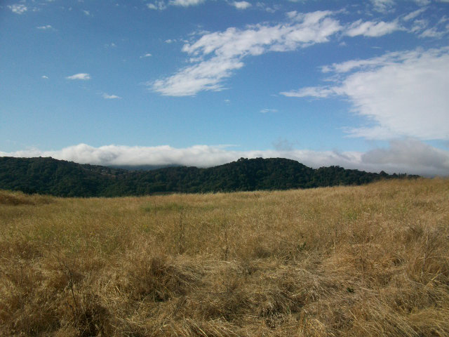 1080 TURQUOISE Drive, HERCULES, California 94547, ,Lots And Land,For Sale,TURQUOISE Drive,40966530