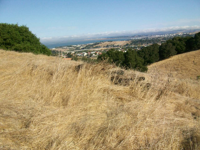 1080 TURQUOISE Drive, HERCULES, California 94547, ,Lots And Land,For Sale,TURQUOISE Drive,40966530