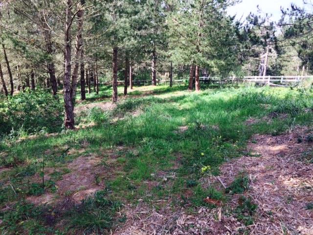 1237 Grant Road, MONTARA, California 94037, ,Lots And Land,For Sale,Grant Road,40966410