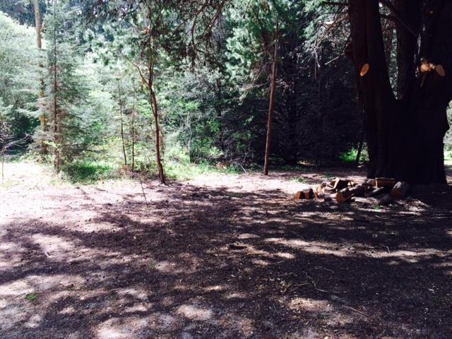 1237 Grant Road, MONTARA, California 94037, ,Lots And Land,For Sale,Grant Road,40966410