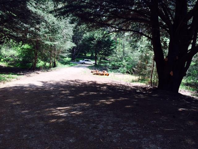 1237 Grant Road, MONTARA, California 94037, ,Lots And Land,For Sale,Grant Road,40966410