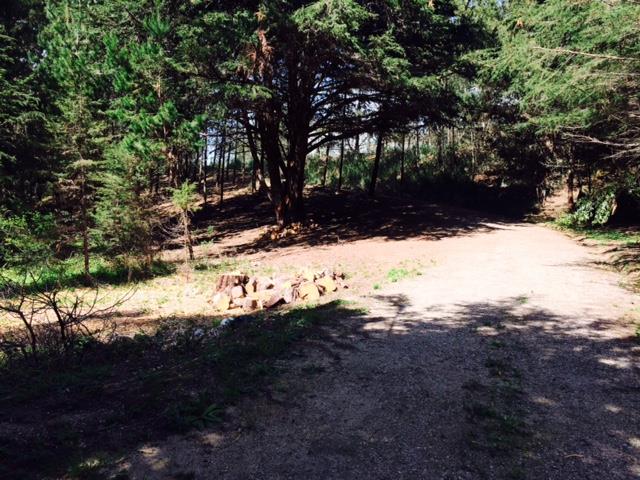 1237 Grant Road, MONTARA, California 94037, ,Lots And Land,For Sale,Grant Road,40966410