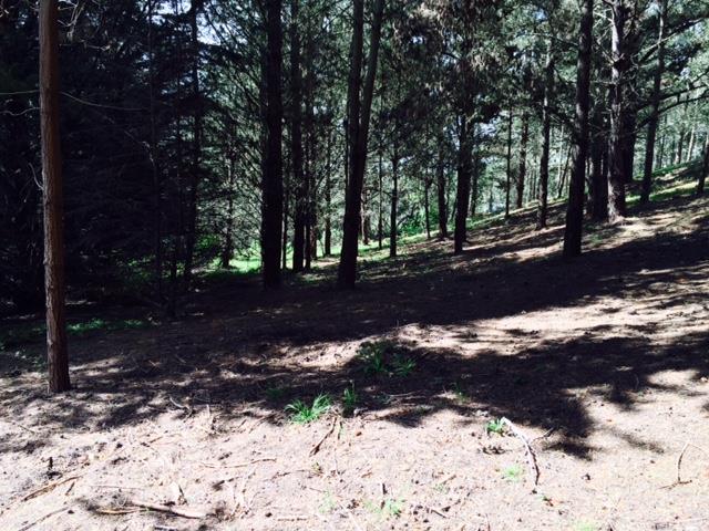 1237 Grant Road, MONTARA, California 94037, ,Lots And Land,For Sale,Grant Road,40966410