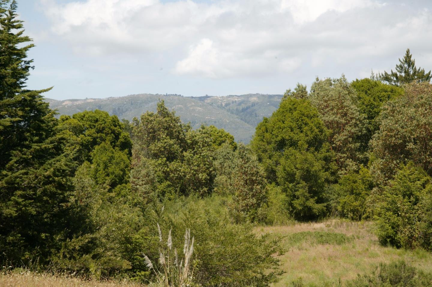 488 TELFORD Drive, CORRALITOS (WATSONVILLE), California 95076, ,Lots And Land,For Sale,TELFORD Drive,40966428