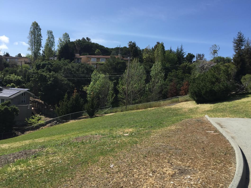 0 Quetzal Court, REDWOOD CITY, California 94062, ,Lots And Land,For Sale,Quetzal Court,40966420