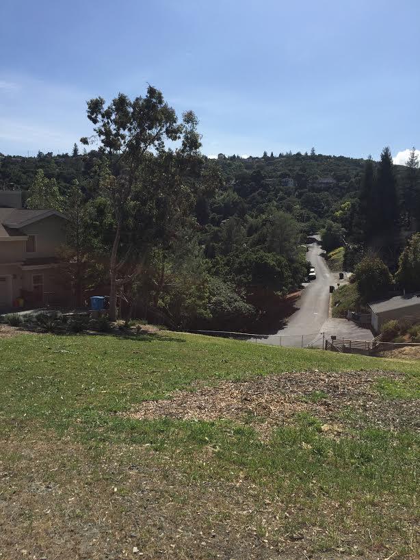0 Quetzal Court, REDWOOD CITY, California 94062, ,Lots And Land,For Sale,Quetzal Court,40966420