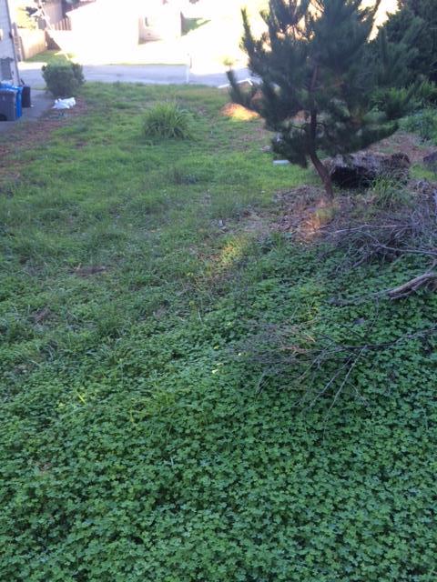 0 Date, MONTARA, California 94037, ,Lots And Land,For Sale,Date,40966408