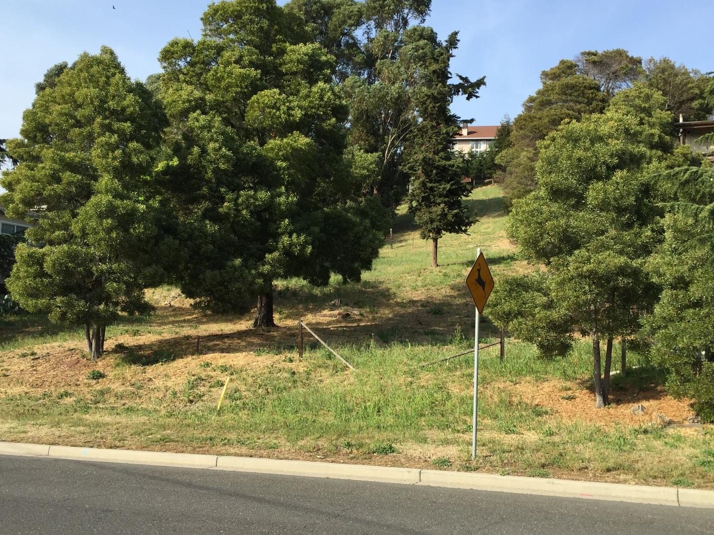 26736 Hayward Boulevard, HAYWARD, California 94542, ,Lots And Land,For Sale,Hayward Boulevard,40966407