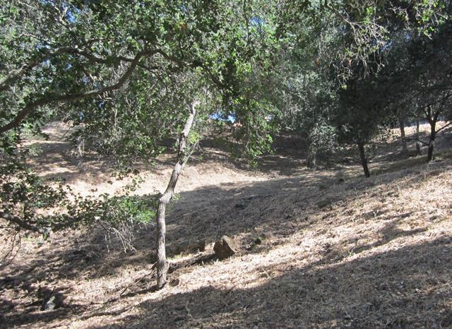 17096 Shady Lane Drive, MORGAN HILL, California 95037, ,Lots And Land,For Sale,Shady Lane Drive,40966405