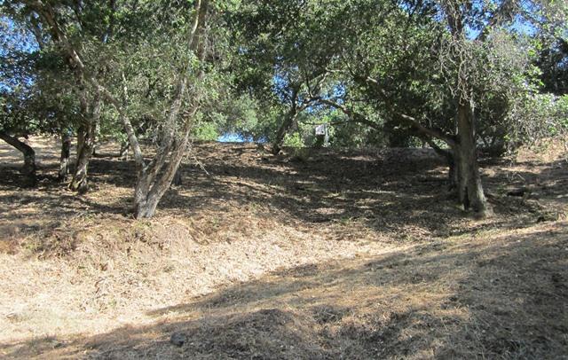 17096 Shady Lane Drive, MORGAN HILL, California 95037, ,Lots And Land,For Sale,Shady Lane Drive,40966405