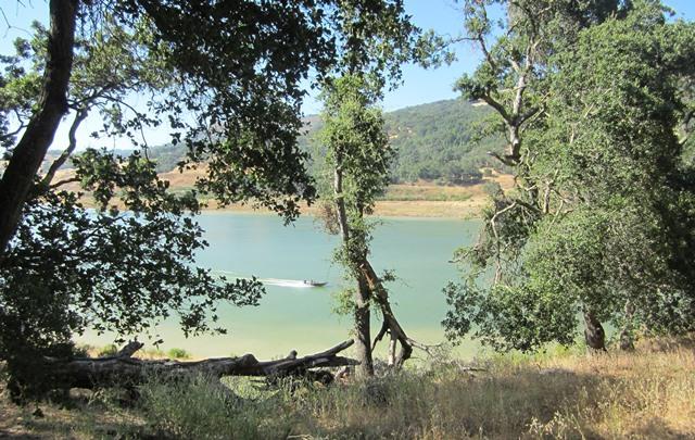 17096 Shady Lane Drive, MORGAN HILL, California 95037, ,Lots And Land,For Sale,Shady Lane Drive,40966405