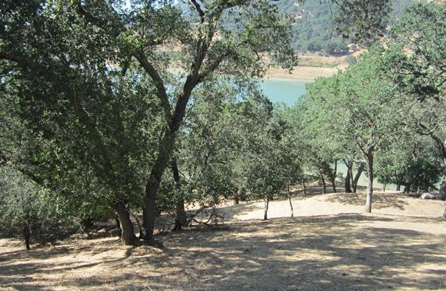 17096 Shady Lane Drive, MORGAN HILL, California 95037, ,Lots And Land,For Sale,Shady Lane Drive,40966405