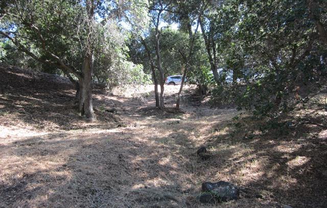 17096 Shady Lane Drive, MORGAN HILL, California 95037, ,Lots And Land,For Sale,Shady Lane Drive,40966405