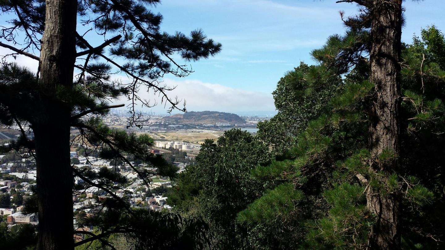 0 Tenaya Road, BRISBANE, California 94005, ,Lots And Land,For Sale,Tenaya Road,40966415