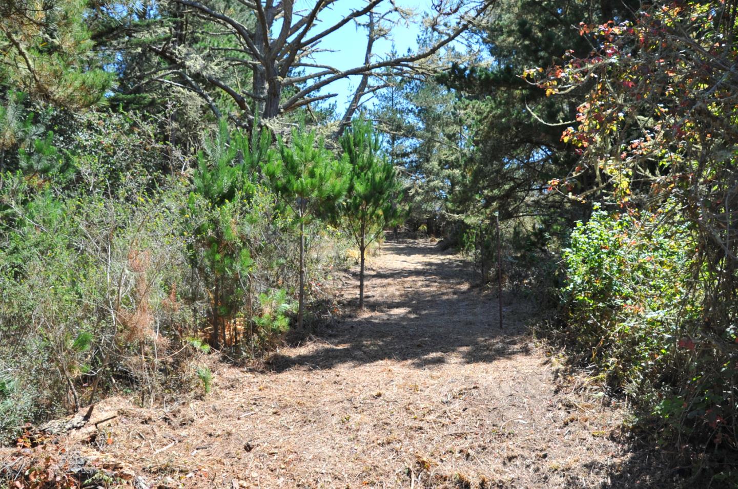 1 Summit Road, MONTARA, California 94037, ,Lots And Land,For Sale,Summit Road,40963808