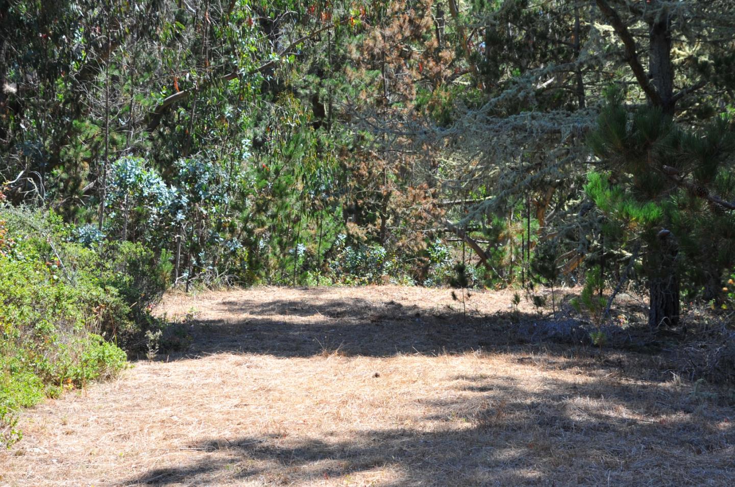 1 Summit Road, MONTARA, California 94037, ,Lots And Land,For Sale,Summit Road,40963808