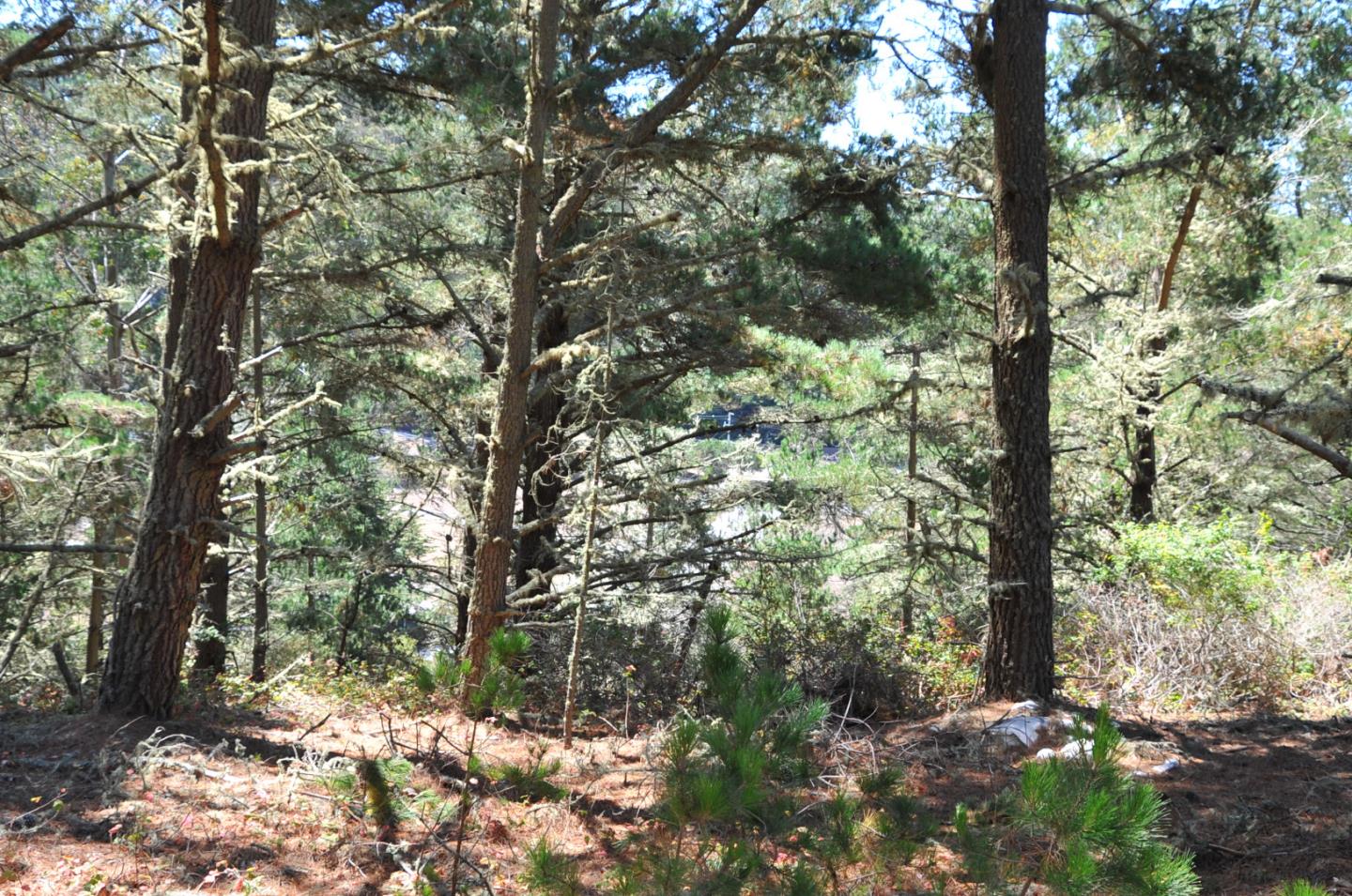 1 Summit Road, MONTARA, California 94037, ,Lots And Land,For Sale,Summit Road,40963808