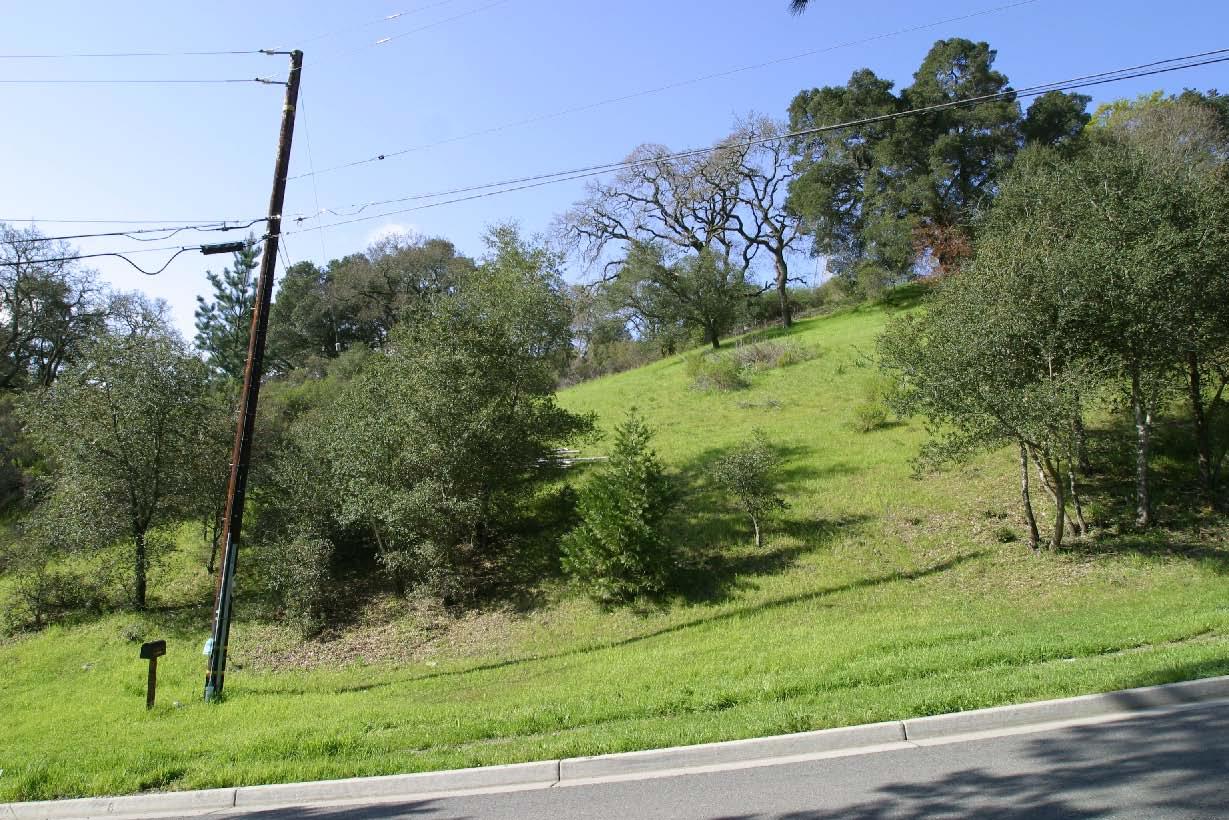 117 Stein Way, ORINDA, California 94563, ,Lots And Land,For Sale,Stein Way,40966432