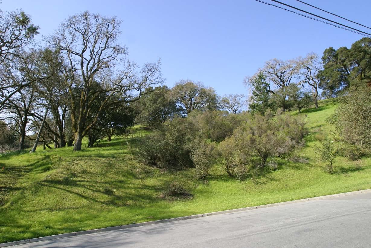 117 Stein Way, ORINDA, California 94563, ,Lots And Land,For Sale,Stein Way,40966432