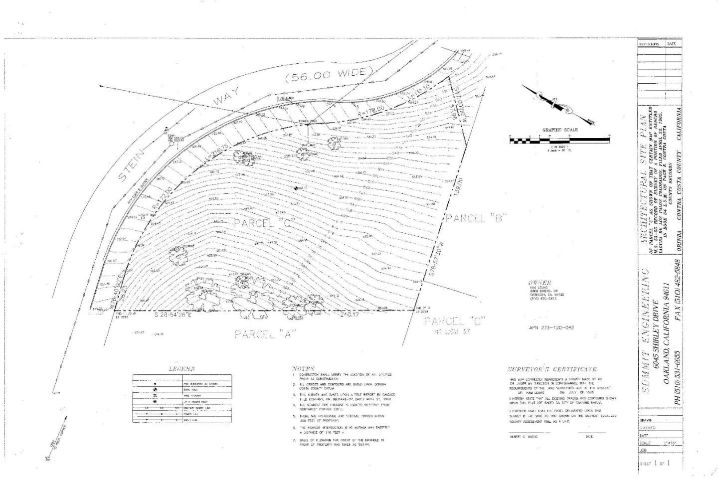 117 Stein Way, ORINDA, California 94563, ,Lots And Land,For Sale,Stein Way,40966432