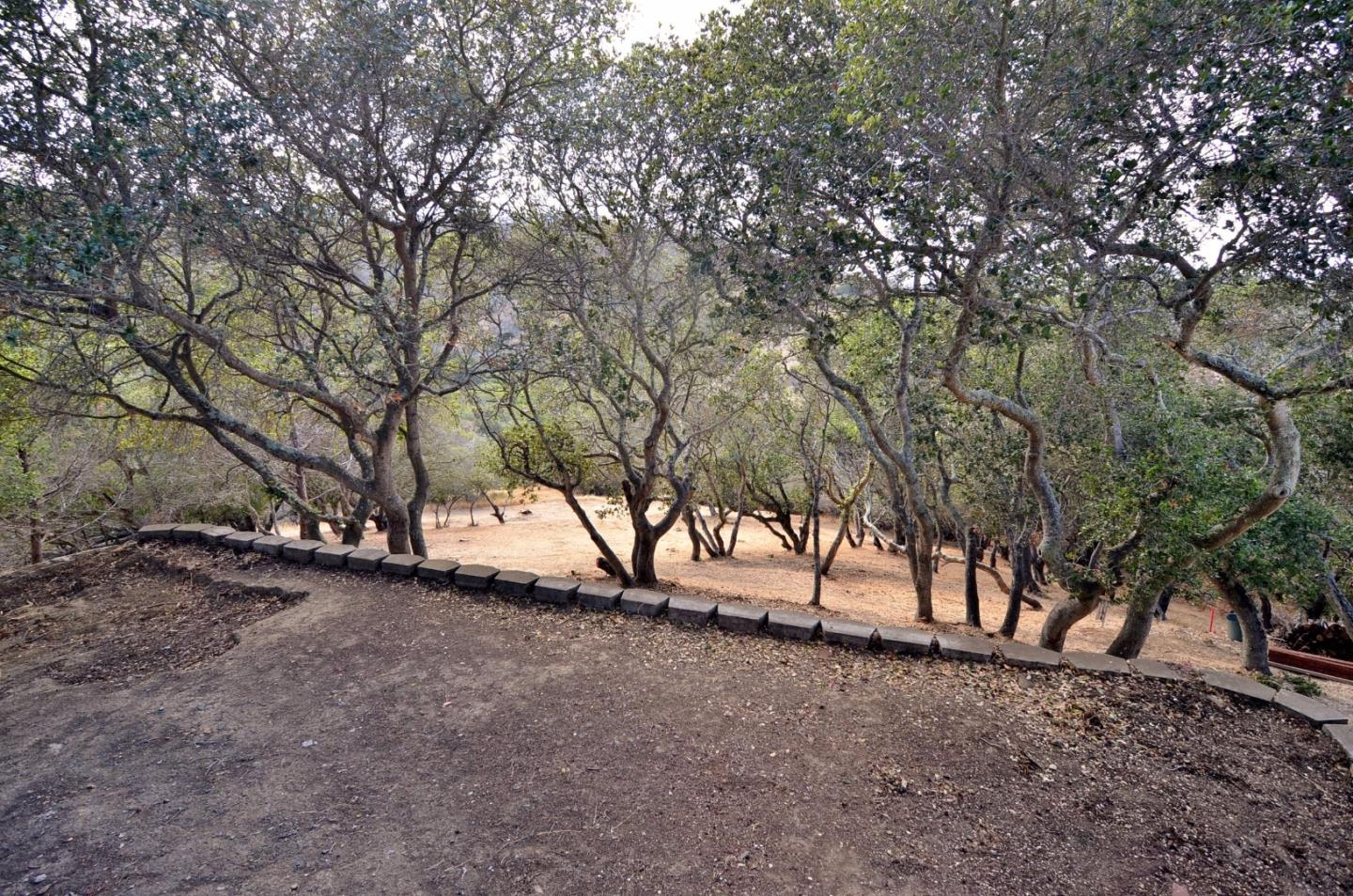 48 Camborne Avenue, SAN CARLOS, California 94070, ,Lots And Land,For Sale,Camborne Avenue,40966435