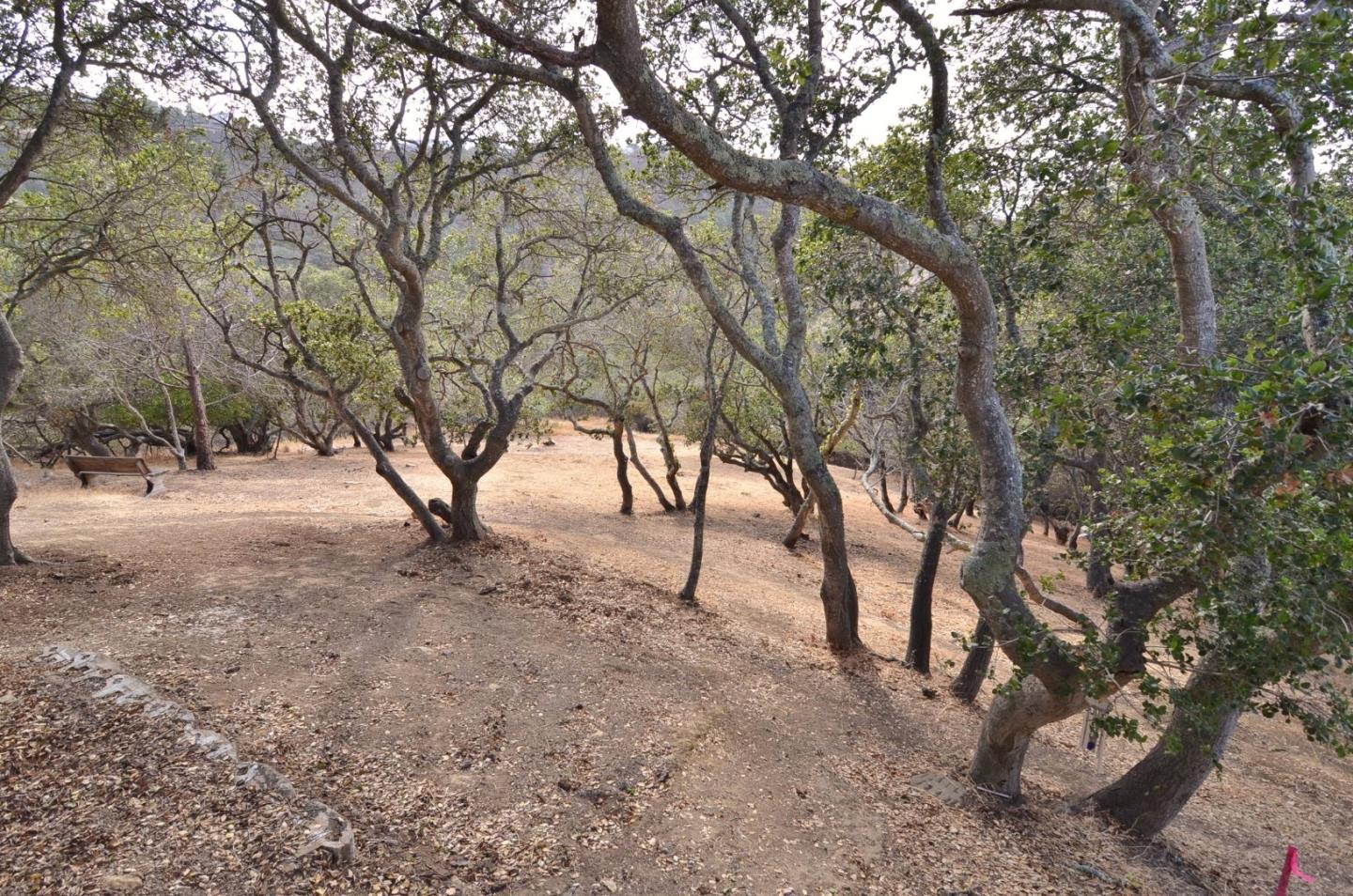 48 Camborne Avenue, SAN CARLOS, California 94070, ,Lots And Land,For Sale,Camborne Avenue,40966435