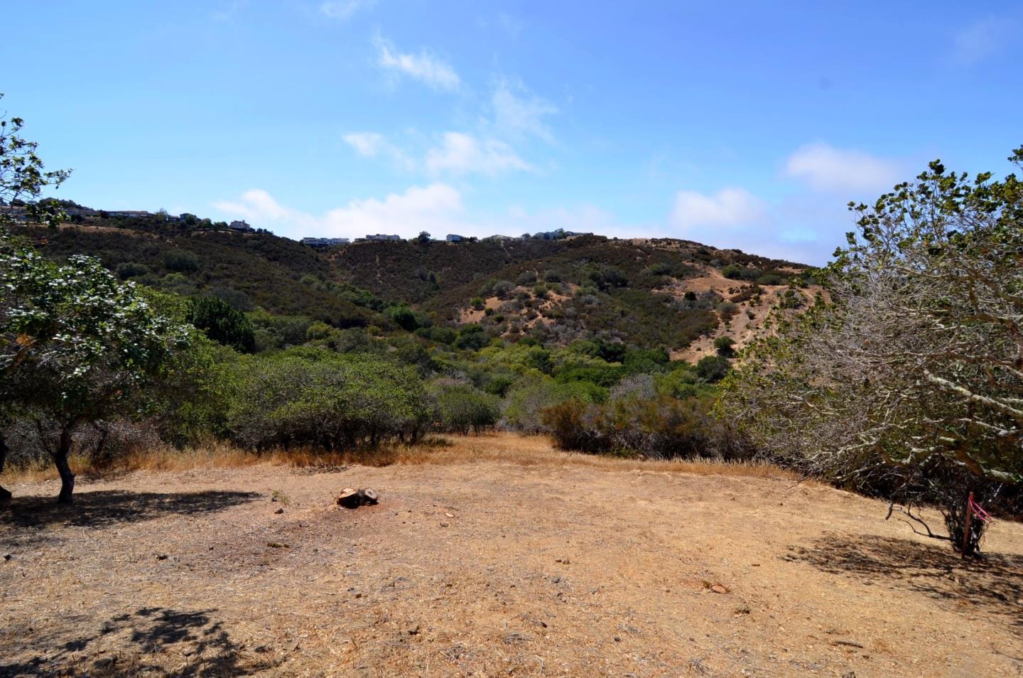 48 Camborne Avenue, SAN CARLOS, California 94070, ,Lots And Land,For Sale,Camborne Avenue,40966435