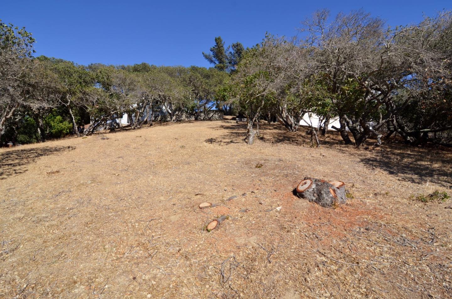 48 Camborne Avenue, SAN CARLOS, California 94070, ,Lots And Land,For Sale,Camborne Avenue,40966435