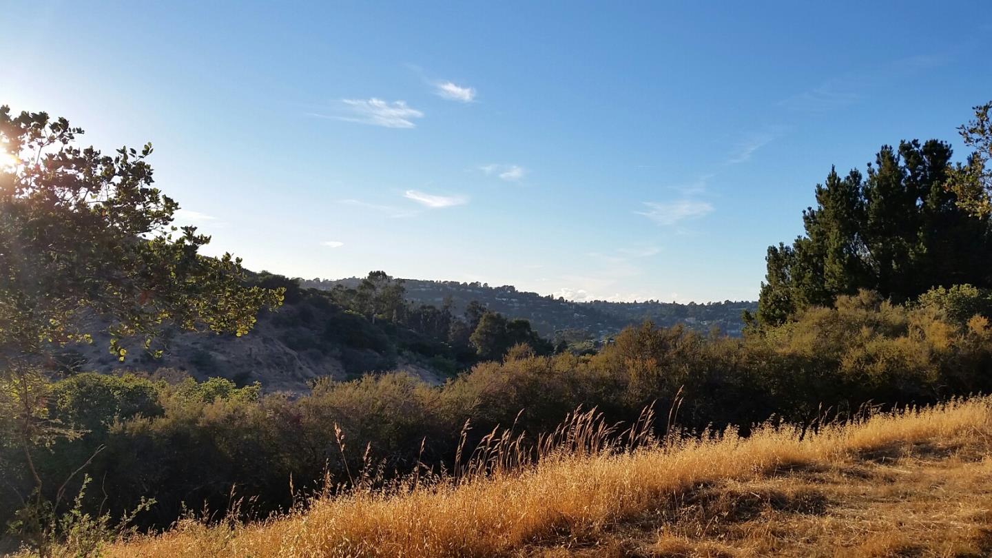 48 Camborne Avenue, SAN CARLOS, California 94070, ,Lots And Land,For Sale,Camborne Avenue,40966435