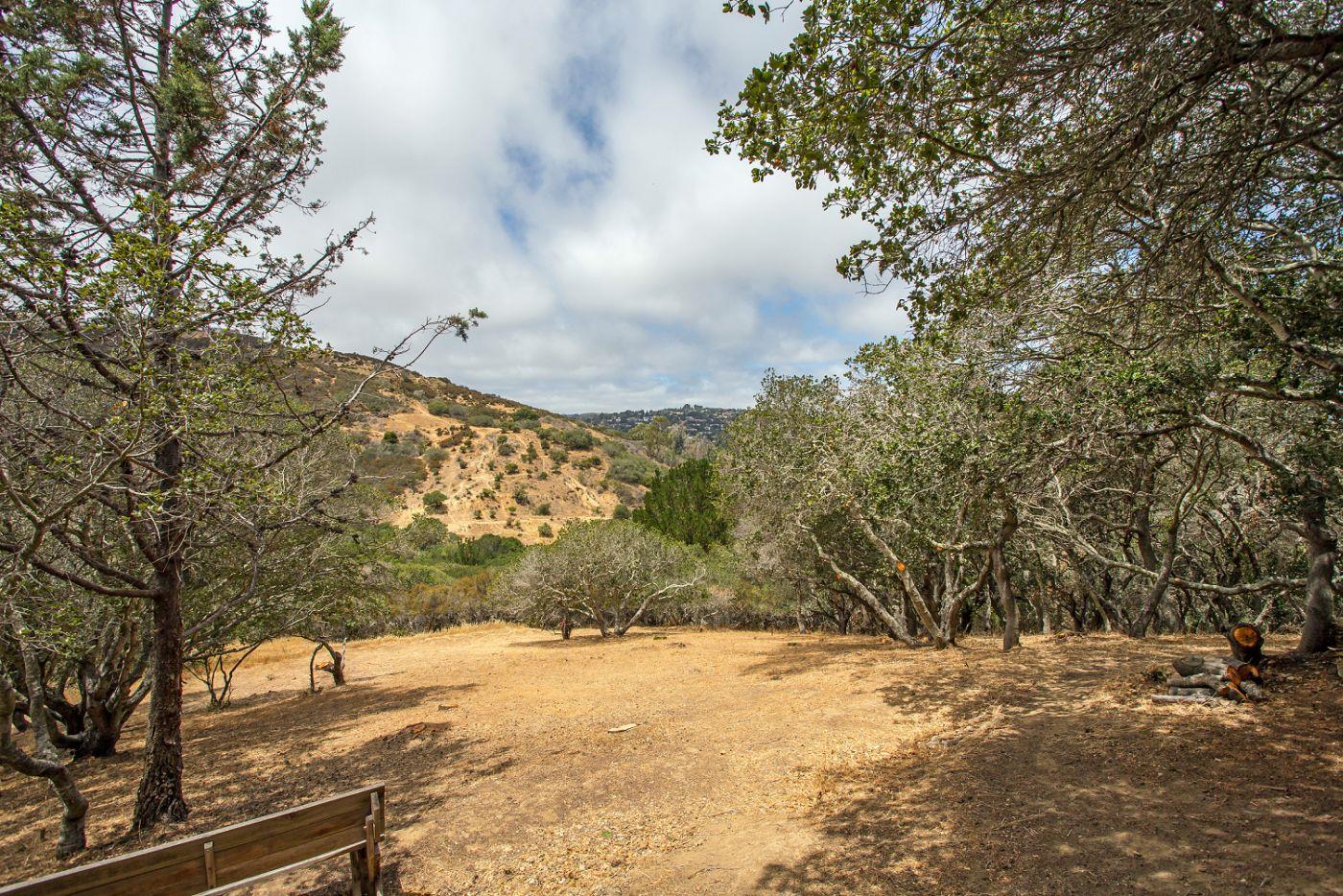 48 Camborne Avenue, SAN CARLOS, California 94070, ,Lots And Land,For Sale,Camborne Avenue,40966435