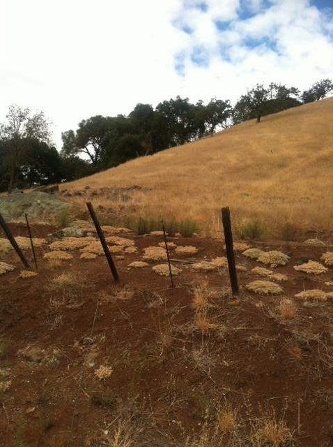 2102 Dahlberg Drive, MORGAN HILL, California 95037, ,Lots And Land,For Sale,Dahlberg Drive,40966389