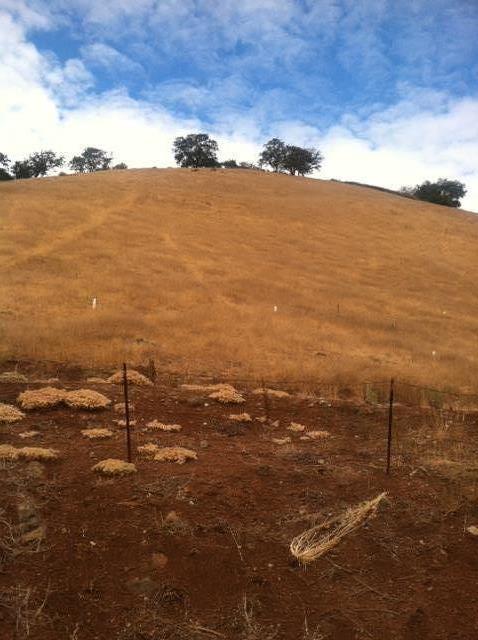 2102 Dahlberg Drive, MORGAN HILL, California 95037, ,Lots And Land,For Sale,Dahlberg Drive,40966389