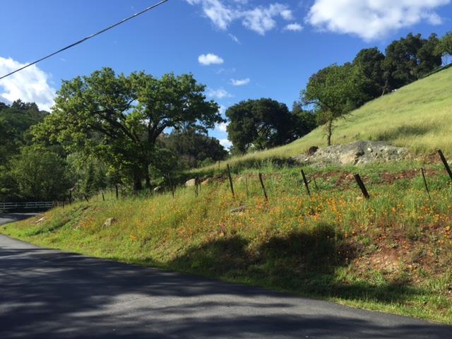 2102 Dahlberg Drive, MORGAN HILL, California 95037, ,Lots And Land,For Sale,Dahlberg Drive,40966389