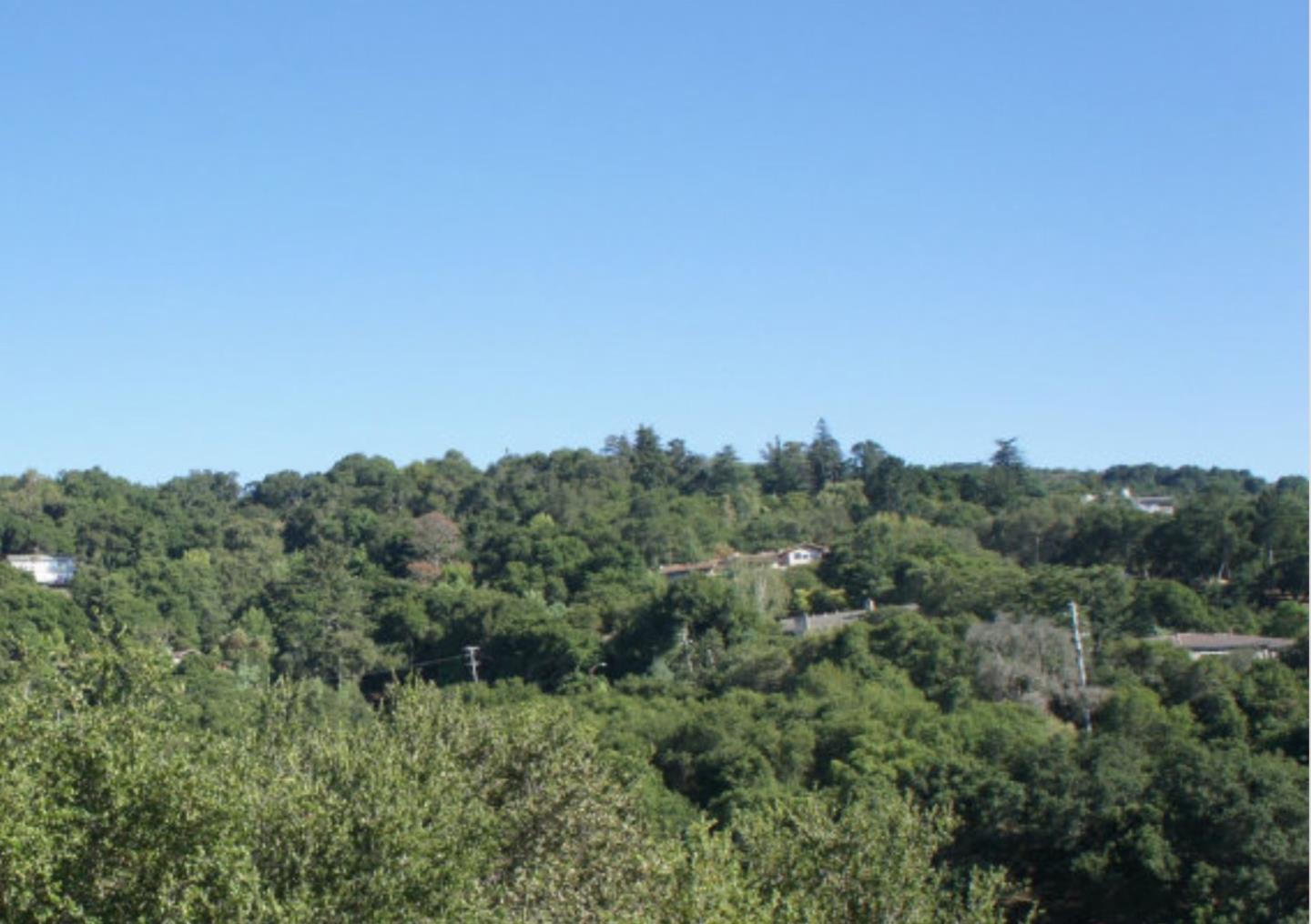 248 Jared Lane, LOS GATOS, California 95030, ,Lots And Land,For Sale,Jared Lane,40966384