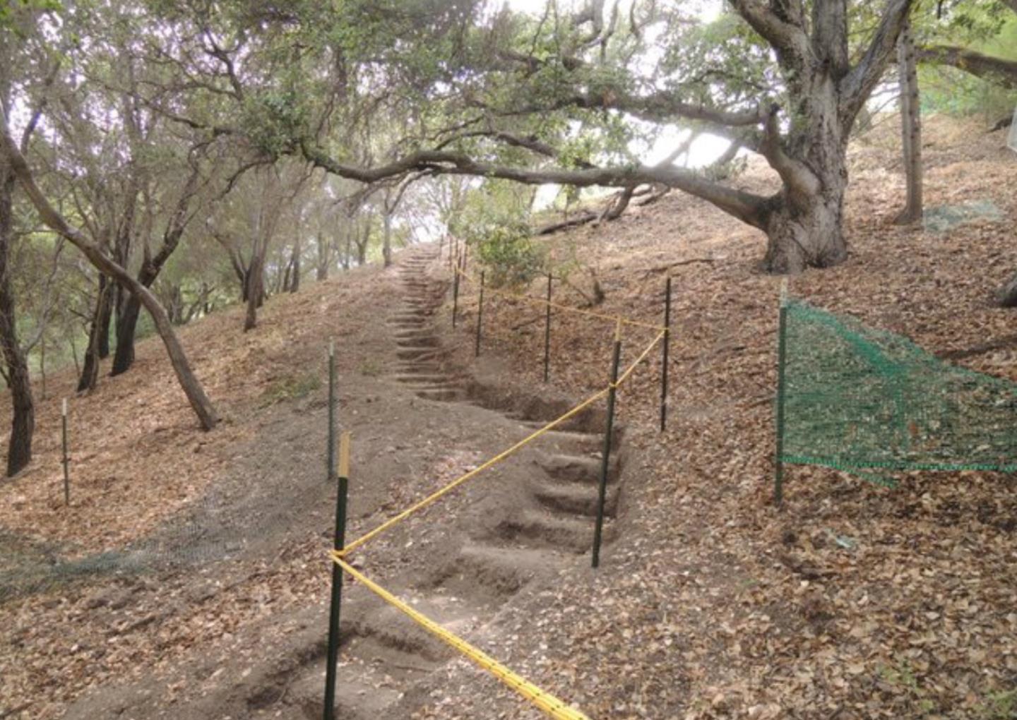 248 Jared Lane, LOS GATOS, California 95030, ,Lots And Land,For Sale,Jared Lane,40966384