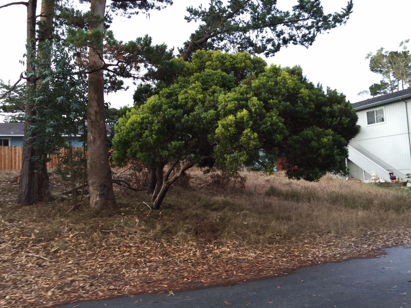 0 Howells Street, MONTARA, California 94037, ,Lots And Land,For Sale,Howells Street,40966411
